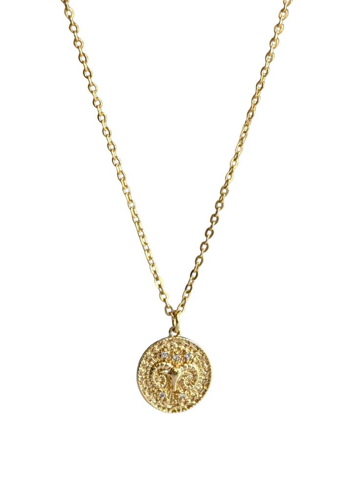 Petite Zodiac Coin Necklace