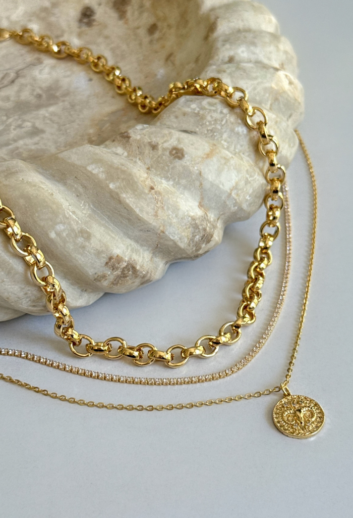 Petite Zodiac Coin Necklace