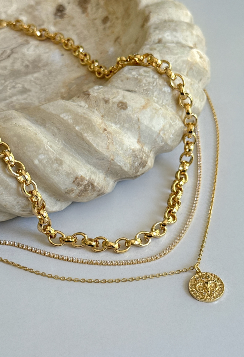 Petite Zodiac Coin Necklace
