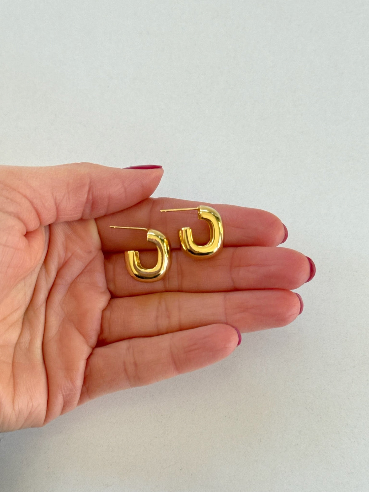 Gold Hoop Earrings