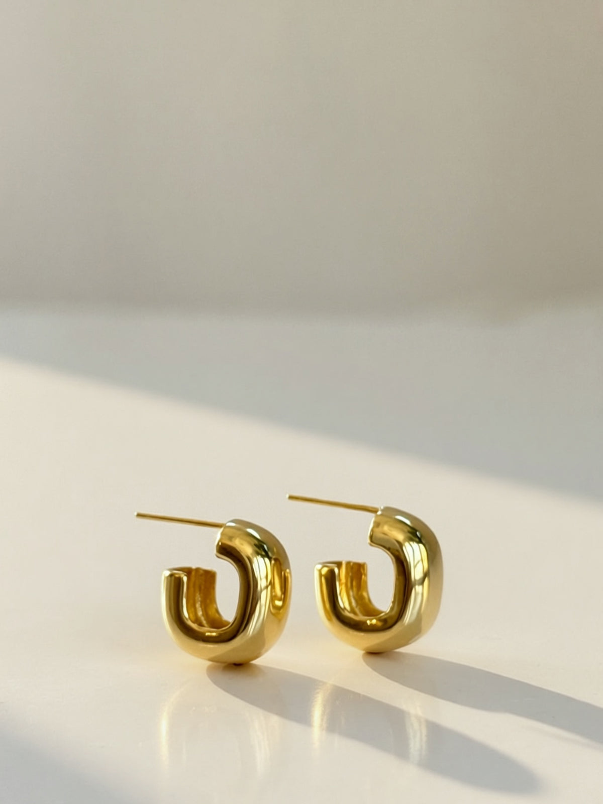 Gold Hoop Earrings