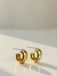 Gold Hoop Earrings