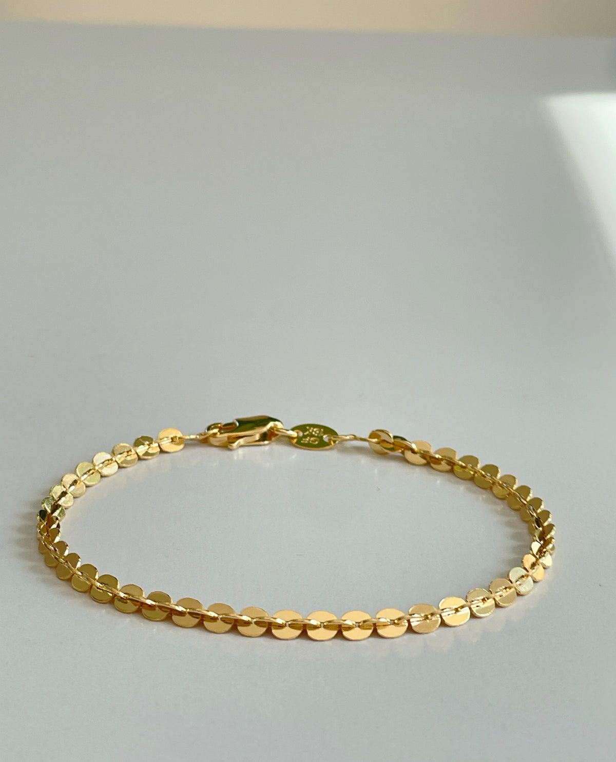 Circle Link Bracelet